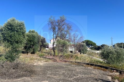 Helårsgrund i Tomar, Santarem, Tomar - € 63.000 | Ref: T 311 - foto 26