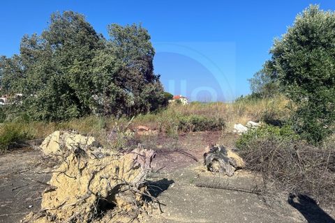 Helårsgrund i Tomar, Santarem, Tomar - € 63.000 | Ref: T 311 - foto 27