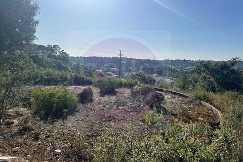 Helårsgrund i Tomar, Santarem, Tomar - € 63.000 | Ref: T 311 - foto 28