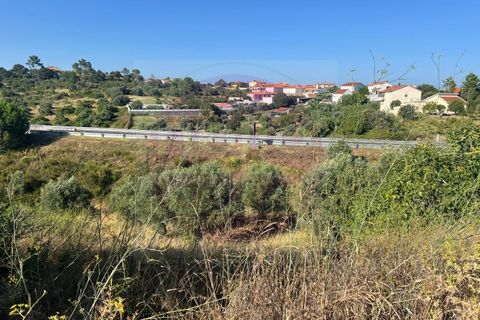Helårsgrund i Tomar, Santarem, Tomar - € 63.000 | Ref: T 311 - foto 31