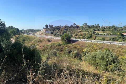 Helårsgrund i Tomar, Santarem, Tomar - € 63.000 | Ref: T 311 - foto 32