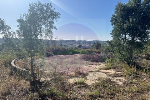 Helårsgrund i Tomar, Santarem, Tomar - € 63.000 | Ref: T 311 - foto 33