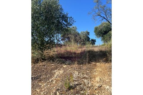Helårsgrund i Tomar, Santarem, Tomar - € 63.000 | Ref: T 311 - foto 34