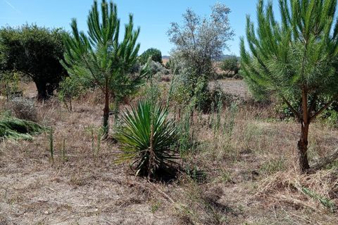Villa i Belmonte, Castelo Branco, Belmonte - € 170.000 | Ref: 24412 - L092024412 - foto 27