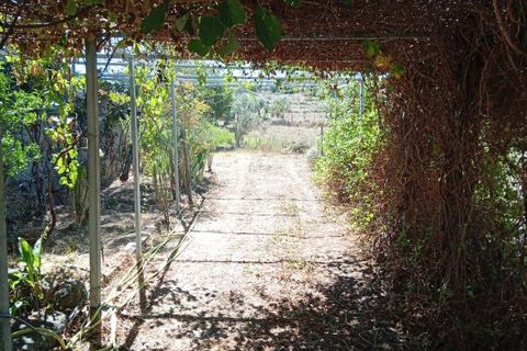 Villa i Belmonte, Castelo Branco, Belmonte - € 170.000 | Ref: 24412 - L092024412 - foto 28