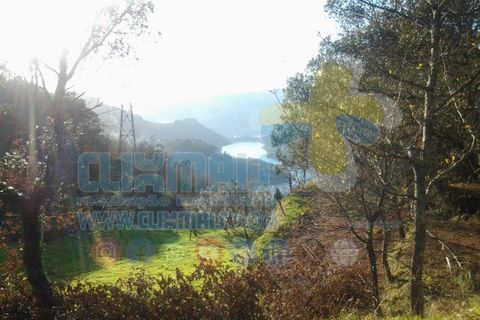 Helårsgrund i Paredes, Porto, Paredes - € 270.000 | Ref: clix mais v1.148 - foto 1
