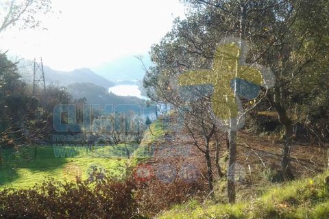 Helårsgrund i Paredes, Porto, Paredes - € 270.000 | Ref: clix mais v1.148 - foto 2