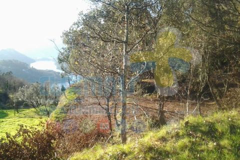 Helårsgrund i Paredes, Porto, Paredes - € 270.000 | Ref: clix mais v1.148 - foto 3