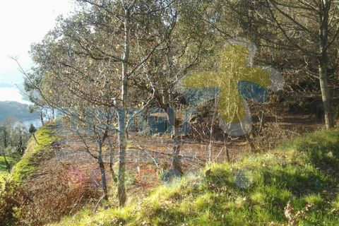 Helårsgrund i Paredes, Porto, Paredes - € 270.000 | Ref: clix mais v1.148 - foto 4