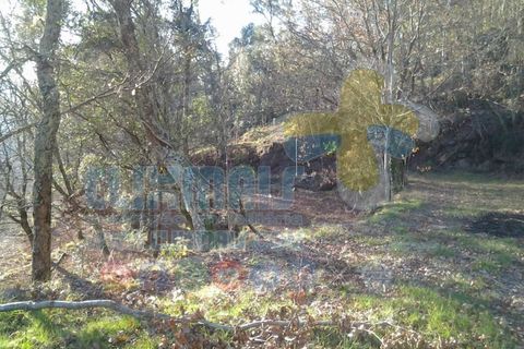 Helårsgrund i Paredes, Porto, Paredes - € 270.000 | Ref: clix mais v1.148 - foto 5