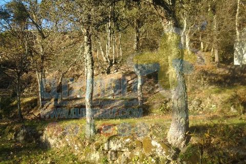 Helårsgrund i Paredes, Porto, Paredes - € 270.000 | Ref: clix mais v1.148 - foto 6