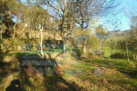 Helårsgrund i Paredes, Porto, Paredes - € 270.000 | Ref: clix mais v1.148 - foto 8