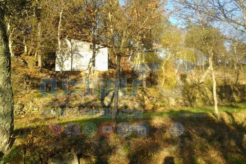 Helårsgrund i Paredes, Porto, Paredes - € 270.000 | Ref: clix mais v1.148 - foto 9