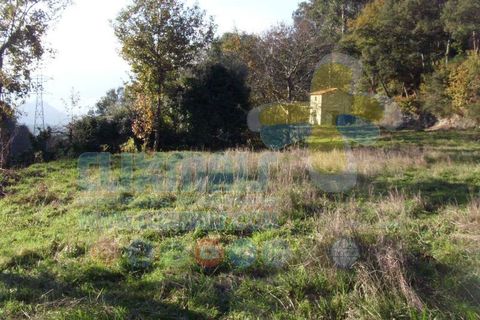 Helårsgrund i Paredes, Porto, Paredes - € 270.000 | Ref: clix mais v1.148 - foto 12