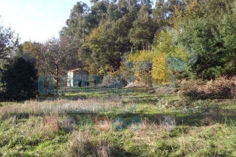 Helårsgrund i Paredes, Porto, Paredes - € 270.000 | Ref: clix mais v1.148 - foto 13
