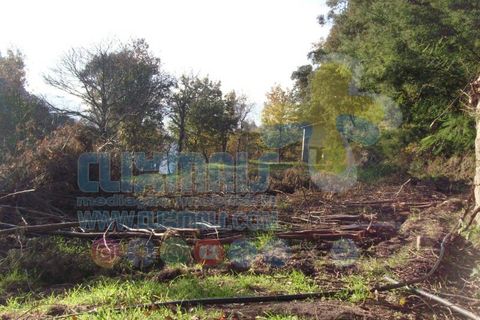 Helårsgrund i Paredes, Porto, Paredes - € 270.000 | Ref: clix mais v1.148 - foto 17