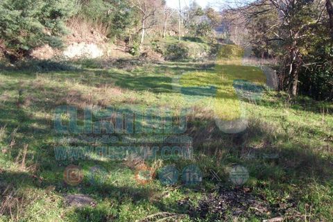 Helårsgrund i Paredes, Porto, Paredes - € 270.000 | Ref: clix mais v1.148 - foto 18