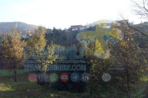Helårsgrund i Paredes, Porto, Paredes - € 270.000 | Ref: clix mais v1.148 - foto 19