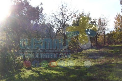 Helårsgrund i Paredes, Porto, Paredes - € 270.000 | Ref: clix mais v1.148 - foto 21