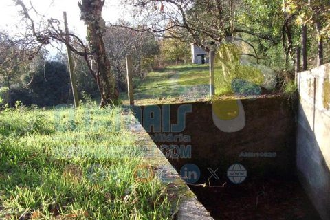 Helårsgrund i Paredes, Porto, Paredes - € 270.000 | Ref: clix mais v1.148 - foto 22