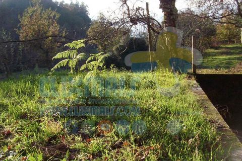 Helårsgrund i Paredes, Porto, Paredes - € 270.000 | Ref: clix mais v1.148 - foto 24