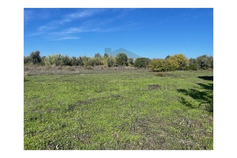 Helårsgrund i Moncarapacho, Faro, Moncarapacho - € 60.000 | Ref: SÒL546 - foto 2