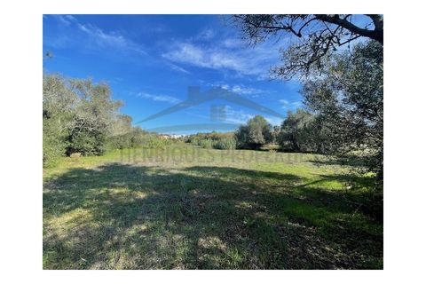 Helårsgrund i Moncarapacho, Faro, Moncarapacho - € 60.000 | Ref: SÒL546 - foto 3