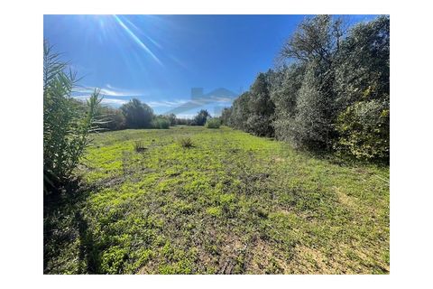Helårsgrund i Moncarapacho, Faro, Moncarapacho - € 60.000 | Ref: SÒL546 - foto 4