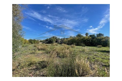 Helårsgrund i Moncarapacho, Faro, Moncarapacho - € 60.000 | Ref: SÒL546 - foto 5