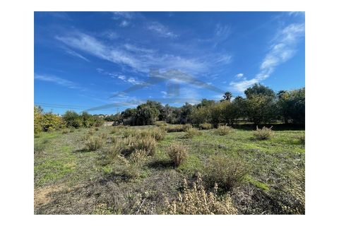 Helårsgrund i Moncarapacho, Faro, Moncarapacho - € 60.000 | Ref: SÒL546 - foto 6