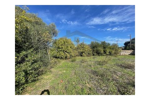 Helårsgrund i Moncarapacho, Faro, Moncarapacho - € 60.000 | Ref: SÒL546 - foto 8