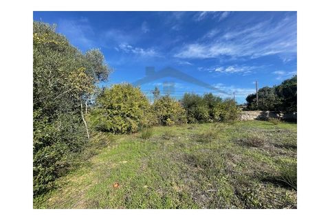 Helårsgrund i Moncarapacho, Faro, Moncarapacho - € 60.000 | Ref: SÒL546 - foto 9