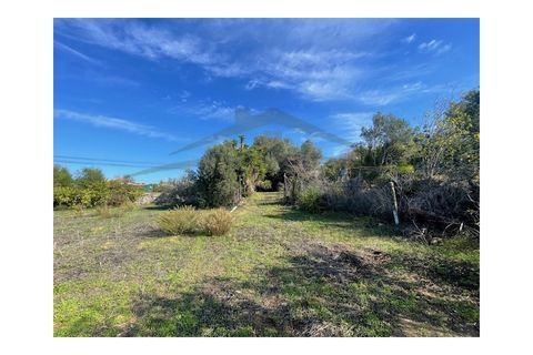 Helårsgrund i Moncarapacho, Faro, Moncarapacho - € 60.000 | Ref: SÒL546 - foto 11