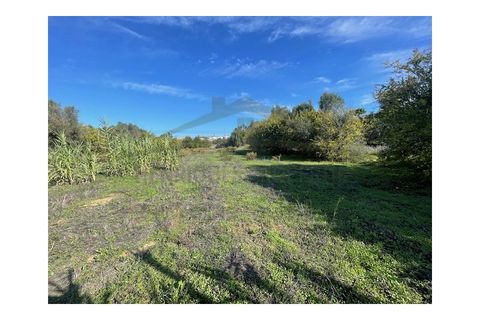 Helårsgrund i Moncarapacho, Faro, Moncarapacho - € 60.000 | Ref: SÒL546 - foto 13
