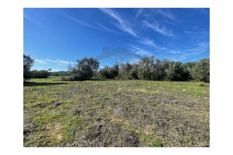 Helårsgrund i Moncarapacho, Faro, Moncarapacho - € 60.000 | Ref: SÒL546 - foto 14