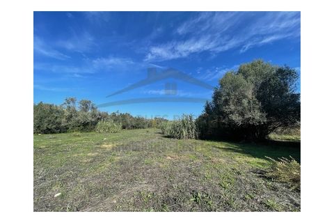 Helårsgrund i Moncarapacho, Faro, Moncarapacho - € 60.000 | Ref: SÒL546 - foto 15
