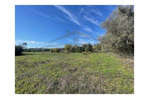 Helårsgrund i Moncarapacho, Faro, Moncarapacho - € 60.000 | Ref: SÒL546 - foto 16
