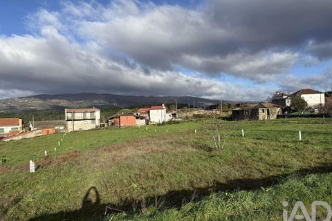 Terra a Vila Real, Vila Real, Vila Real - € 80.000 | Ref: 129523 - foto 9