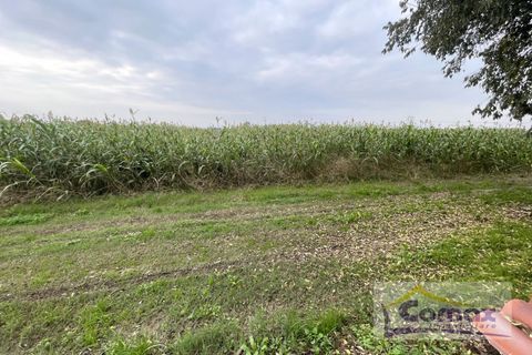 Villa i Saccolongo, Padua, Saccolongo - € 285.000 | Ref: I1667 - foto 12