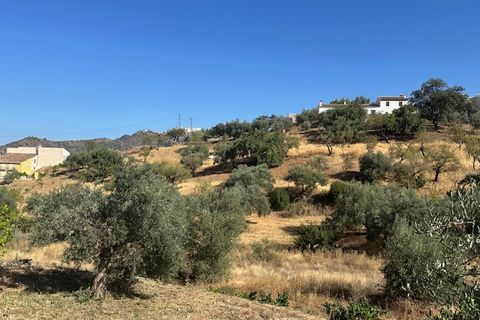 Landhaus in Comares, Malaga - Foto 2