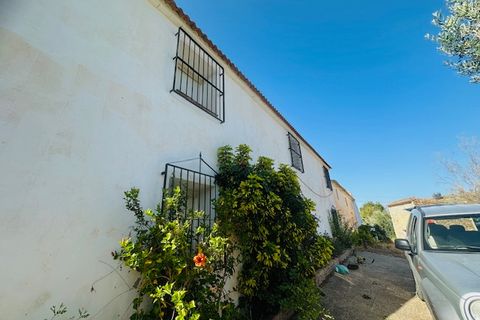 Landhaus in Comares, Malaga - Foto 5
