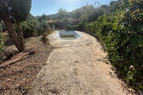 Landhaus in Comares, Malaga - Foto 3