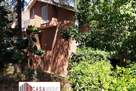 Villa a Palermo, Palermo, Palermo - € 370.000 | Ref: PA005VD - foto 17