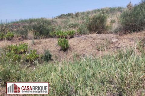 Terra a Trabia, Palermo, Trabia - € 65.000 | Ref: TR001VD - foto 15