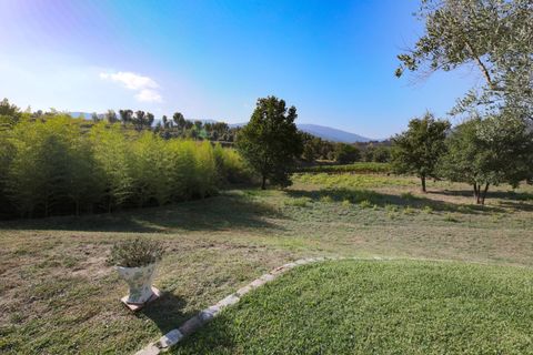 Villa a Cogolin, Var, Cogolin - € 1.650.000 | Ref: 83434478 - foto 9