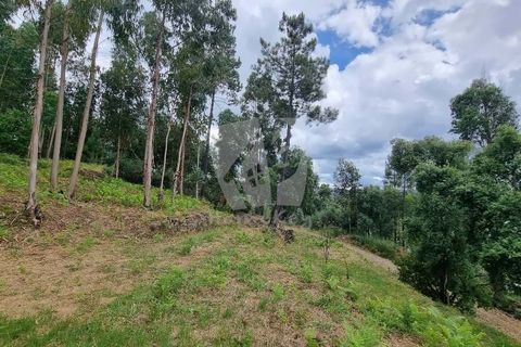 Helårsgrund i Serta, Castelo Branco, Serta - € 17.500 | Ref: H715 - foto 2