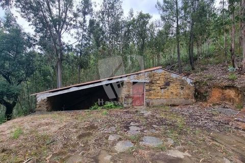 Helårsgrund i Serta, Castelo Branco, Serta - € 17.500 | Ref: H715 - foto 3