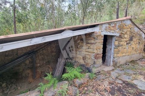 Helårsgrund i Serta, Castelo Branco, Serta - € 17.500 | Ref: H715 - foto 4