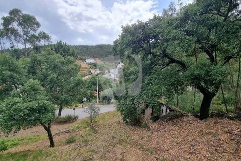 Helårsgrund i Serta, Castelo Branco, Serta - € 17.500 | Ref: H715 - foto 7