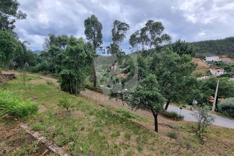 Helårsgrund i Serta, Castelo Branco, Serta - € 17.500 | Ref: H715 - foto 8